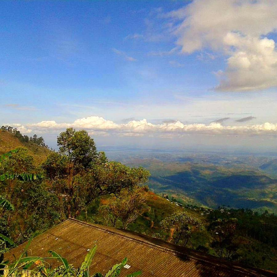 Bel View Guest House ฮาปูตาเล ภายนอก รูปภาพ