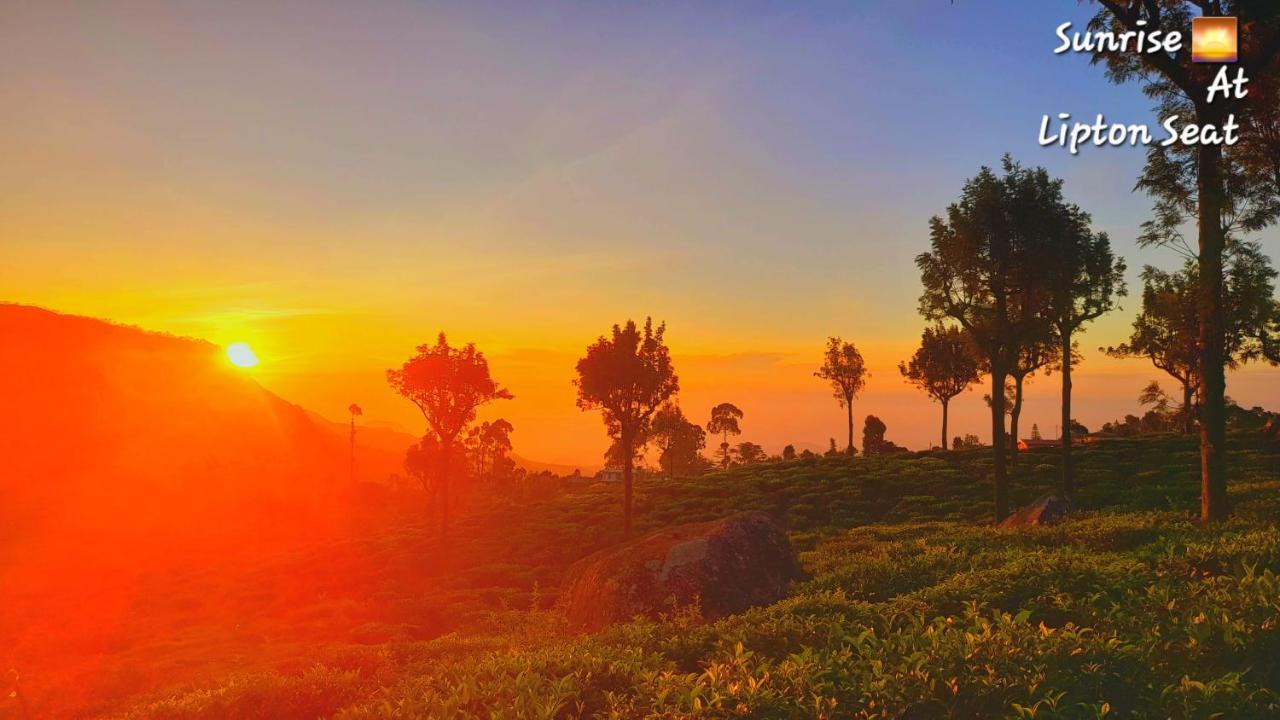 Bel View Guest House ฮาปูตาเล ภายนอก รูปภาพ